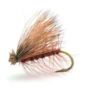 ELK CADDIS BRUN VÅRFLUE TØRR - 14