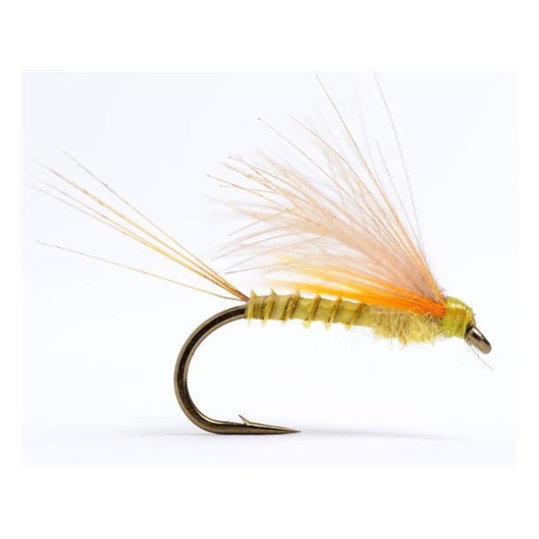 Cdc Biot Dun Emerger PMD