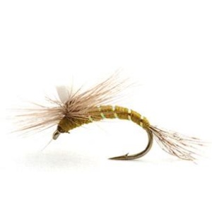 BAETIS KLEKKER OLIVE - 14