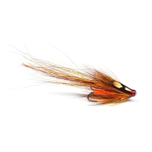 DE Willie Gunn Pig