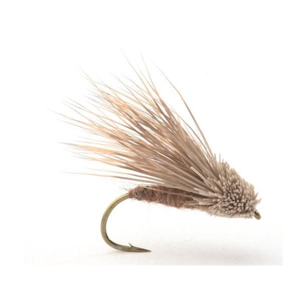 Streaking Caddis - Bilde 3