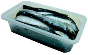 Agnsild/Brisling ca. 9-12cm Frossen