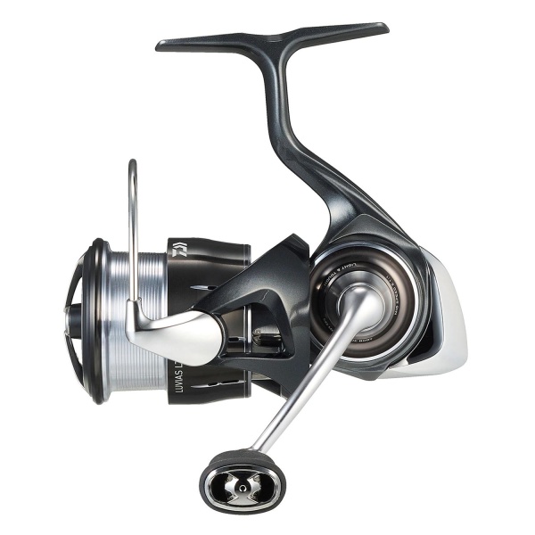 Daiwa 24 Luvias