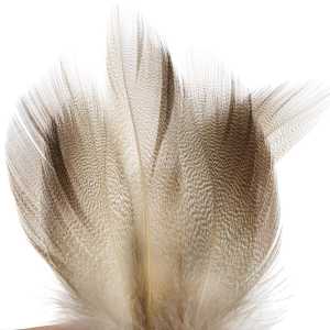 Mallard Bronze- Spey LARGE Select